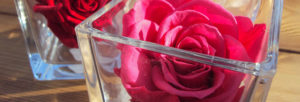 une rose éternelle sous cloche