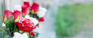 audeladesfleurs